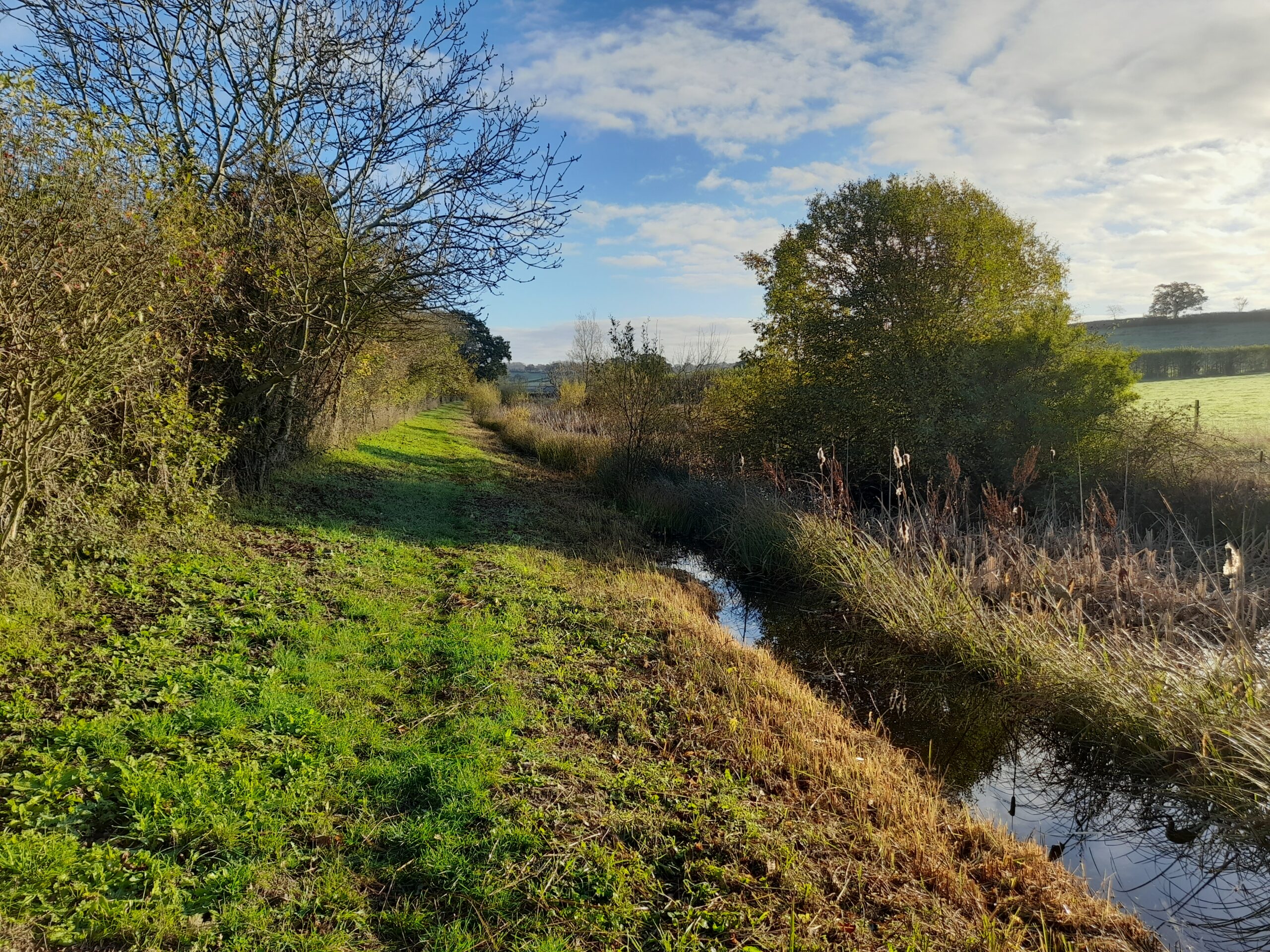 Canal channel at Dauntsey