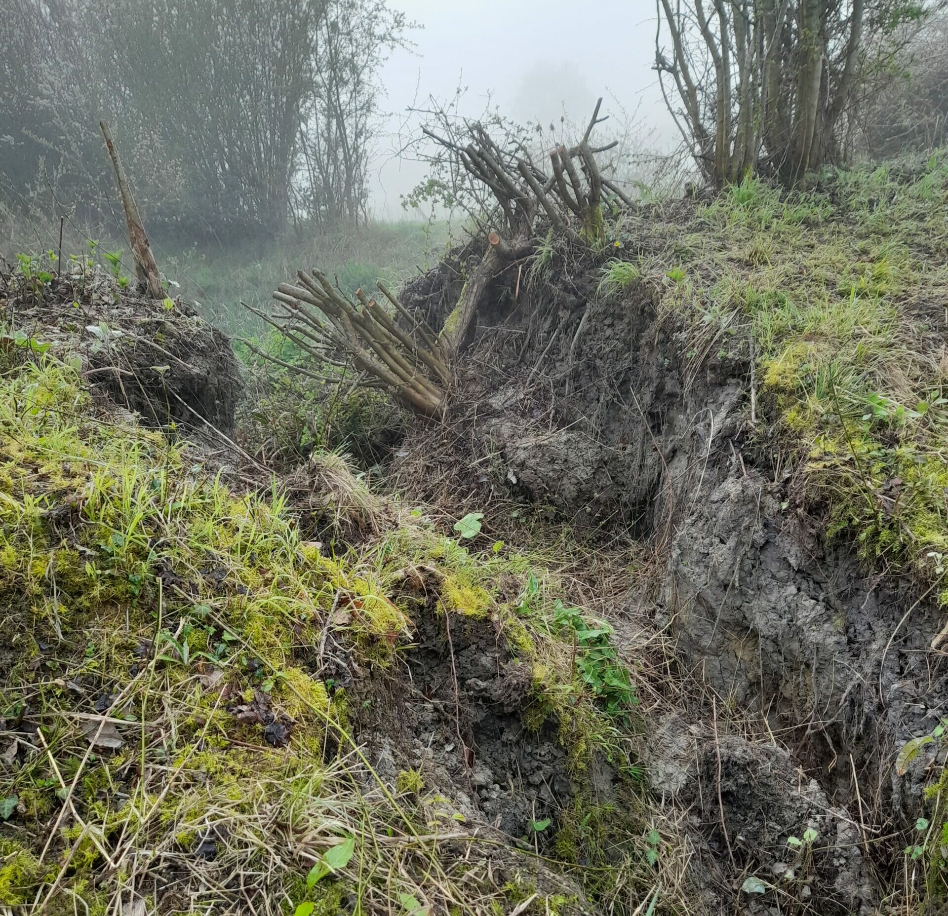 collapsed section of the embankment
