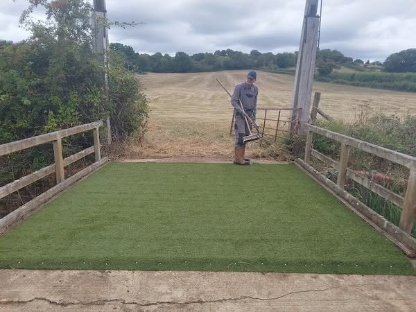 Larry Elm Farm Lift Bridge Larry inspecting the freshly laid artificial grass at Elm Farm Lift Bridge